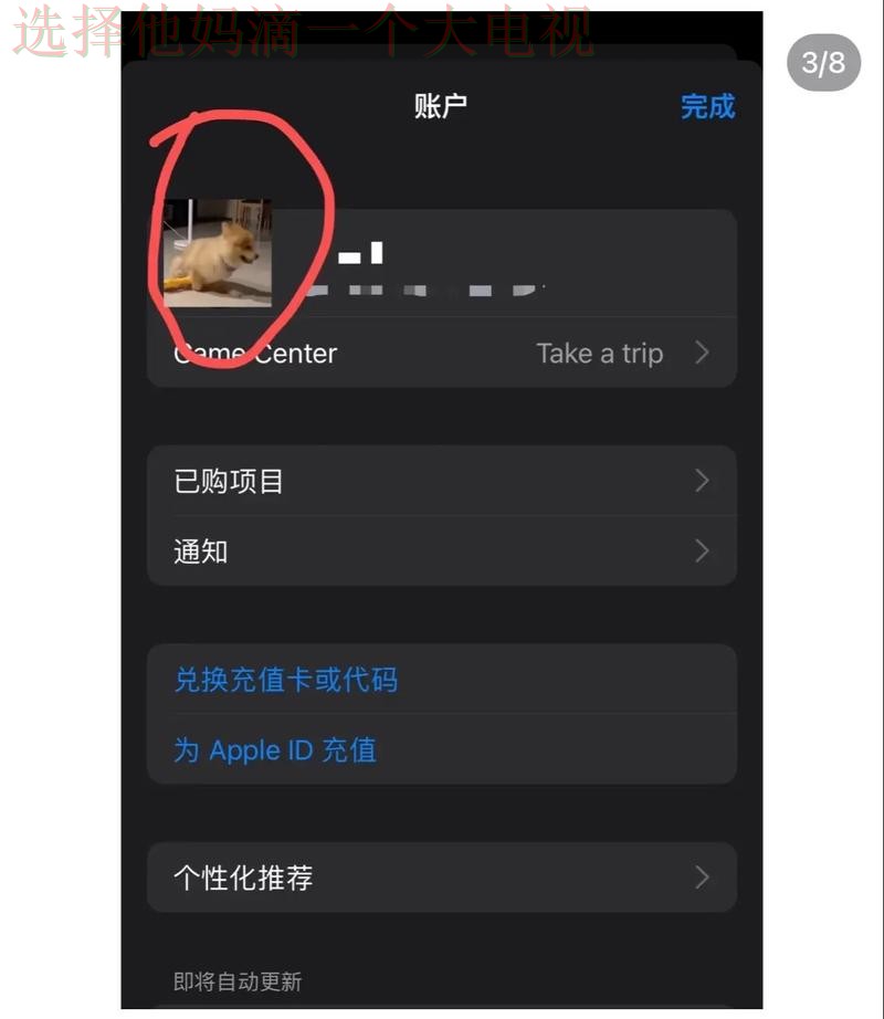 半岛APP苹果版下载安装教程